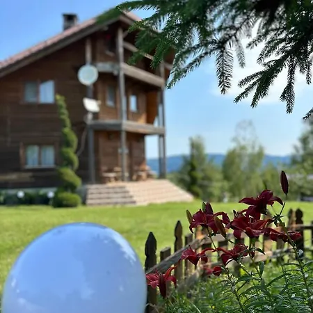 Holiday home Hanul Cu Mesteceni